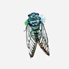 知鸟彩色线描素材图片png免抠素材_新图网ixintu.com