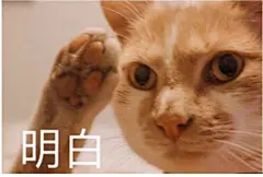 (27 封私信 / 80 条消息) 有没有适合性格阳刚的男人使用的表情包？ - 知乎 : 我觉得我手机里的都太可爱了