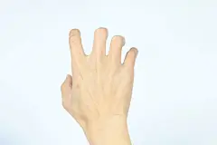 手持五个手指人物动作图片手拿手背高清触摸大拇指笔划手势手心手语素材手握姿势手指手掌818A0536 – 饿狐背景网站-微距高清设计素材免费图片下载海报壁纸摄影背景素材，背景图，背景墙，背景板，背景图片，背景纹理，背景板设计，背景材质，背景大图
