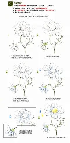 本篇教大家如何巧用 #photoshop# 仿水彩插画实例（植物篇、风景篇）这次所用方法类似钢笔水彩，画线稿再填色，用的也是PS自带笔刷。线稿所用的平头湿水彩笔只是个人觉得手感很好的画线条笔刷，换成粉笔还是铅笔还是圆头都是可以的，看你个人喜欢的线条感觉来选用吧！感谢设计师：Gring625 #PS技巧方法# ​​​​