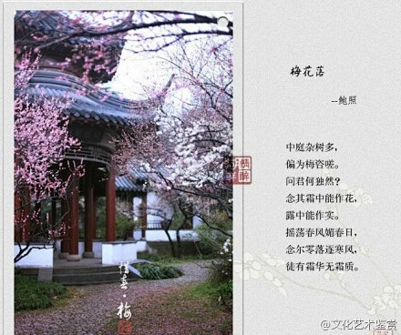 描写梅花的优美诗句与解析！-花瓣网