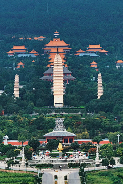 西红柿在寻找鸡蛋采集到旅游app