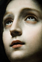 lady madonna (detail), carlo dolci