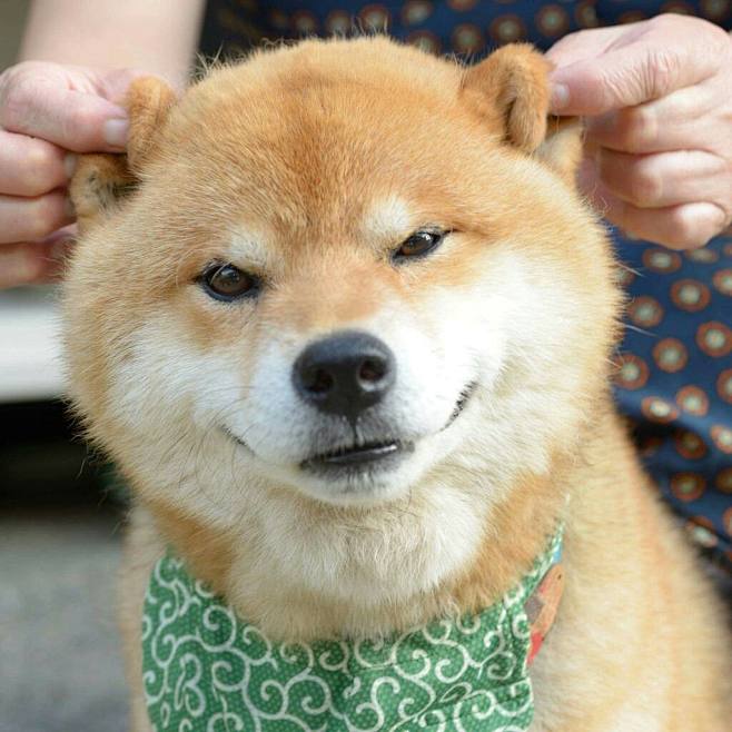 evgxvlnizhu4rjvpohrxz3vdnk5zbmvmmythwm5kyzfprm