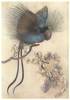 泥鳅众议院采集到插画-Warwick Goble