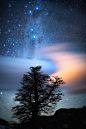 (5) Tumblr
