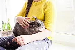 点击来源直接获取大图文件 |女孩和她最喜欢的宠物