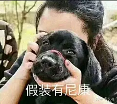 (5 封私信 / 9 条消息) 摄影圈里，都有什么有趣的梗？ - 知乎 : 表情包蕴含了一切(ಡωಡ) 