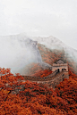 sublim-ature:

The Great Wall of ChinaSource
