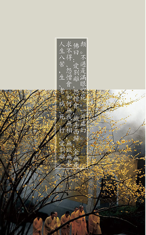 佛的足迹 