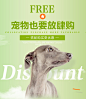 首页-怡亲宠物用品旗舰店-天猫怡亲宠物用品旗舰店Tmall.com