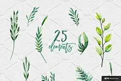 绿色植物 水彩插画 植物花边图案设计平面设计