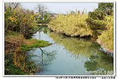 西溪热闹了，还是西溪吗，且能留下吗:西溪湿地公园, 霜魂暗月旅游攻略