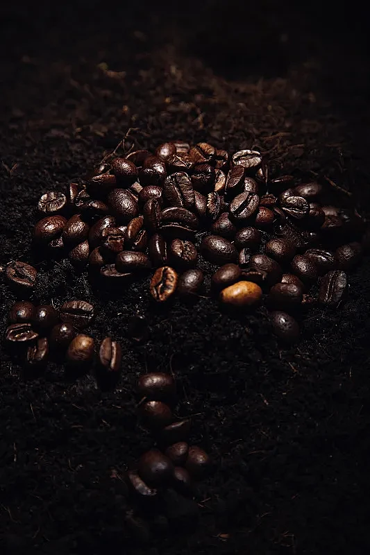 创意艺术静物：土壤与咖啡豆图片下载