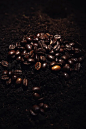 创意艺术静物：土壤与咖啡豆图片下载