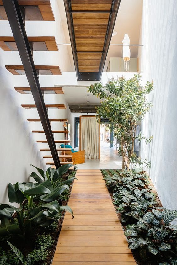 建筑中庭空间丨植物 ​​​​