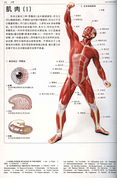 M-Wah采集到结构