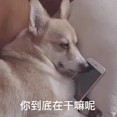 表情包无水印的微博_微博