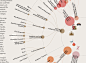 TERRA MATER Magazine - Pflanzen in Bedrängnis : TERRA MATERPFLANZEN IN BEDRÄNGNISInfographic for TERRA MATER magazine, July-August 2018 issue