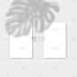 模拟垂直名片模型与现实的阴影覆盖怪物叶。热带植物的矢量阴影。模板传单, 卡, 空白
