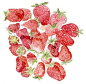 草莓 B162
