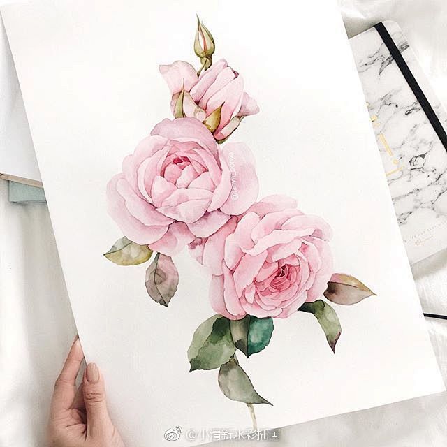 柔和的手绘插画~ 
ins：tanya_...