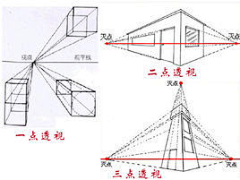 一颗咸卤蛋采集到透视