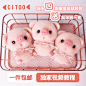 【蓬蓬球系列材料包】羊毛毡戳戳乐手工diy 2019猪年绒球猪猪包邮