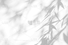 考拉喵KLM采集到背景