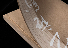 N30LEO采集到Book
