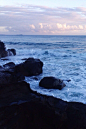 (13) Tumblr
