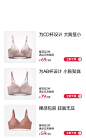 芬腾官方旗舰店