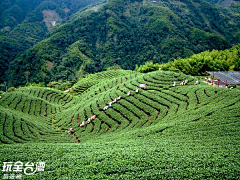 HUIXIAO采集到C-与茶有关  农庄旅游