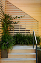 Mid-sized trendy backyard deck container garden photo in San Francisco with no cover