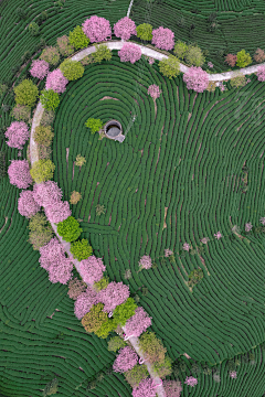 雷神是个锤采集到风景