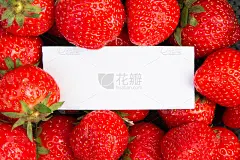 背景是多汁美味的草莓，在中间一个地方写一篇文字