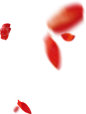 花瓣