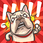 French Bulldog-PIGU - LINE 个人原创贴图 : PIGU-A passionate and naughty French Bulldog. Let's become friends.