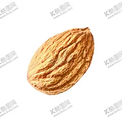 杏仁 【酷图网】杏仁,扁桃仁,坚果,干果,png,设计,生活百科,餐饮美食,72DPI,PNG