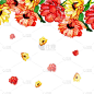 Watercolor Floral Frame Multi-Purpose Background f