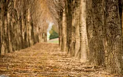 唯美清新自然风景高清精选电脑桌面壁纸图片