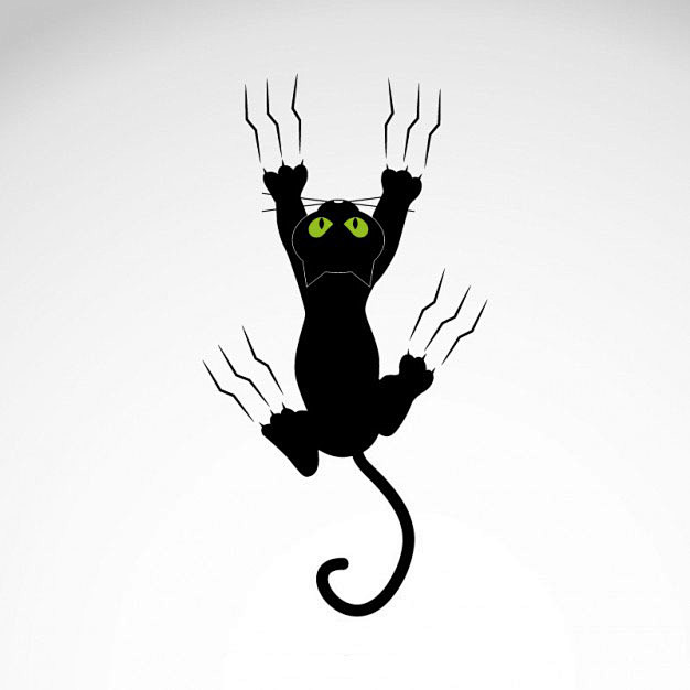 猫用爪子抓着墙
