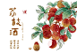 荔枝酒｜荔枝｜酒水包装｜酒品包装插画_1_青稞_来自小红书网页版