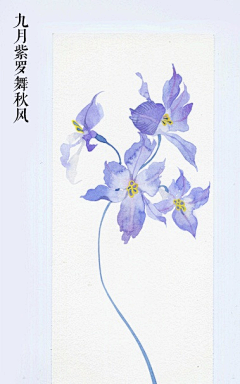 董兮玉采集到素材