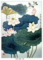 工笔荷花（白色）的画法 《心连若梦》及写意荷花之画法 - 天堂鸟 - 天堂鸟的博客