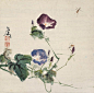 王雪涛（1903〜1982）--------牵牛花 ​​​​