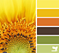 Design Seeds® | find your palette