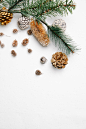 Top view of green coniferous twigs placed on white background with various pine cones during Christmas holiday celebration in studio