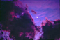 采集——二鱼xi