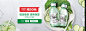 2017年1月-skinfood思亲肤旗舰店-天猫Tmall.com